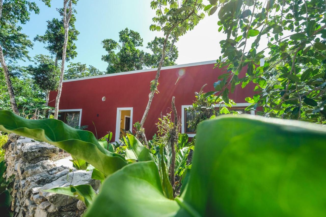 Wakax Hacienda - Cenote & Boutique Hotel Tulum Exteriör bild