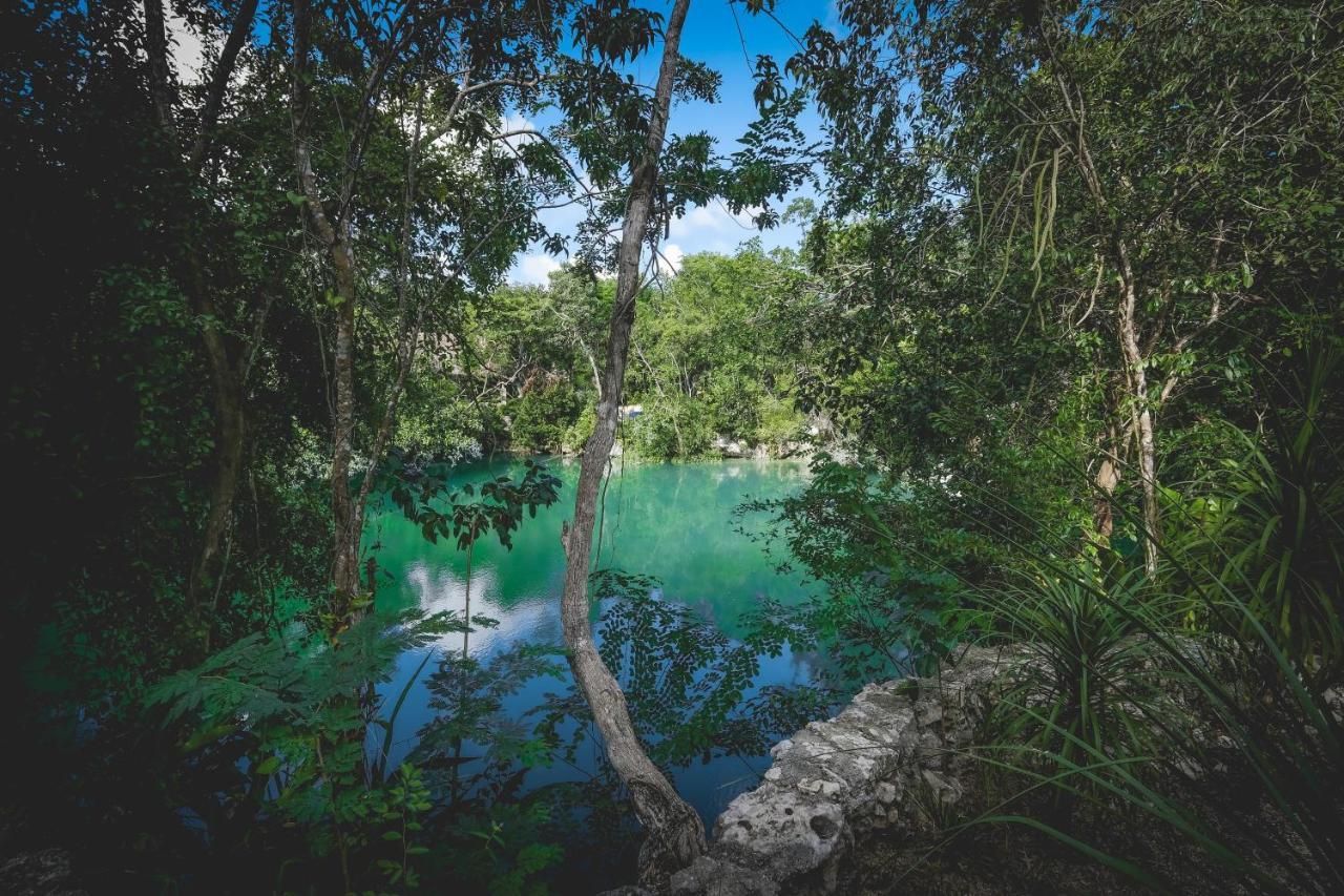 Wakax Hacienda - Cenote & Boutique Hotel Tulum Exteriör bild