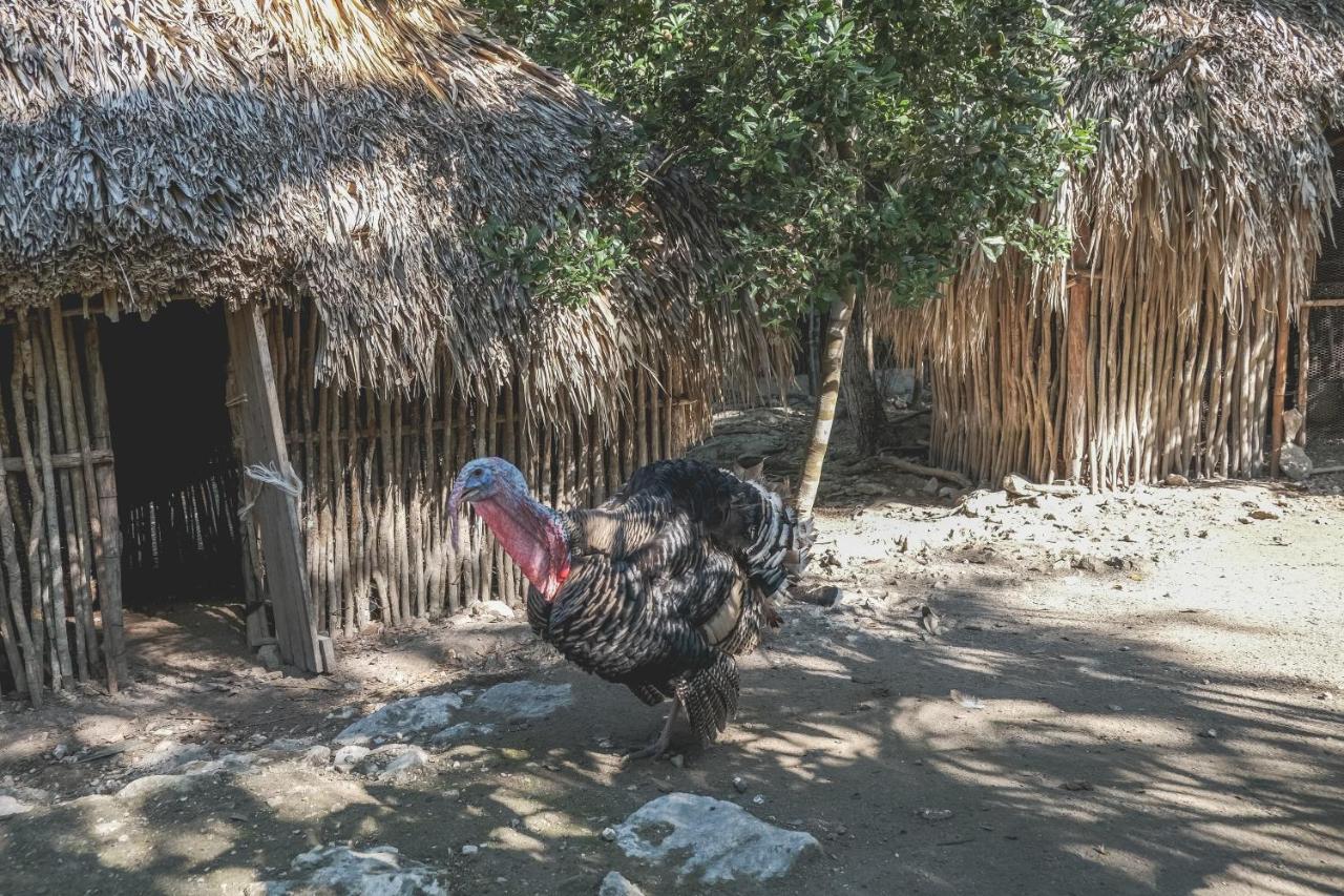 Wakax Hacienda - Cenote & Boutique Hotel - Small Luxury Hotels Of The World Tulum Exteriör bild